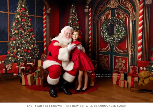 2025 Santa Claus Mini Session Experience