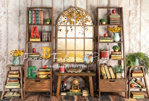 Back to School Mini Sessions: School Room