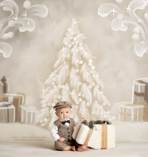 Baby's First Christmas Mini Sessions