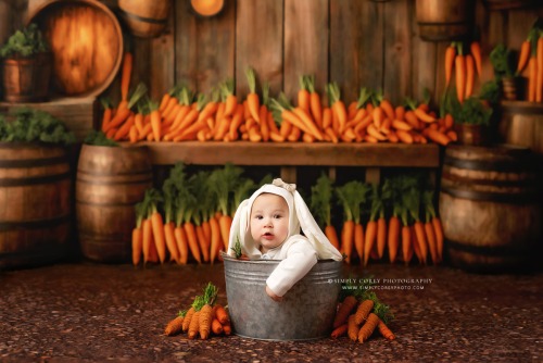 Spring & Easter Mini Sessions for Baby