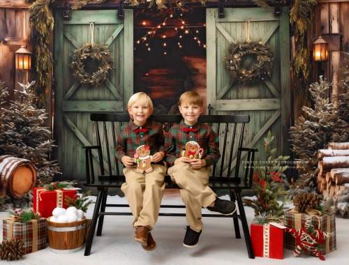 Evergreen Barn Studio Mini Sessions