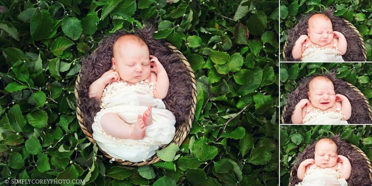 baby in a basket outdoors by Atlanta newborn photographer