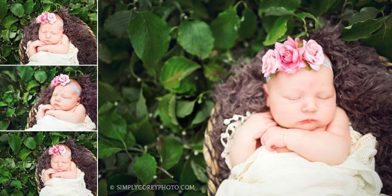 baby in a basket outdoors by Carrollton newborn photographer