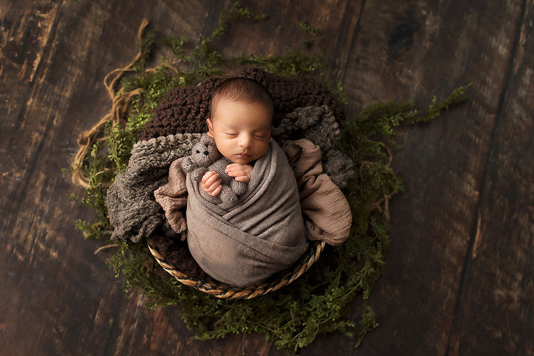 newborn photographer in West Georgia near Atlanta, baby boy in brown with greenery and teddy bear
