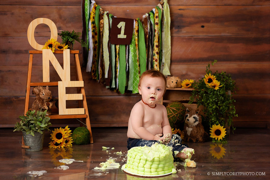 cake smash photographer, Newnan, sunflowers and woodland animals theme