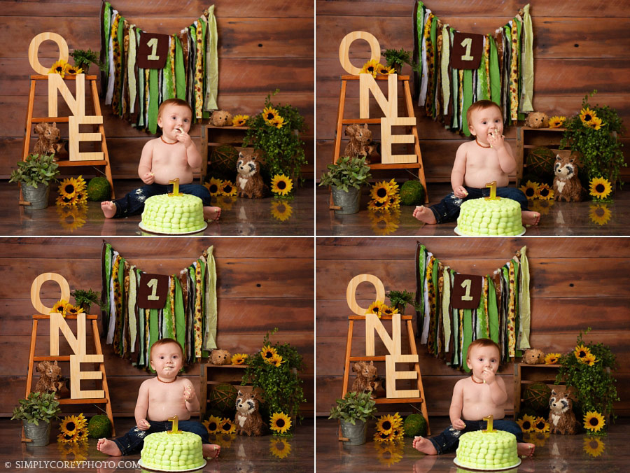 Newnan cake smash photographer, baby boy with woodland theme in studio