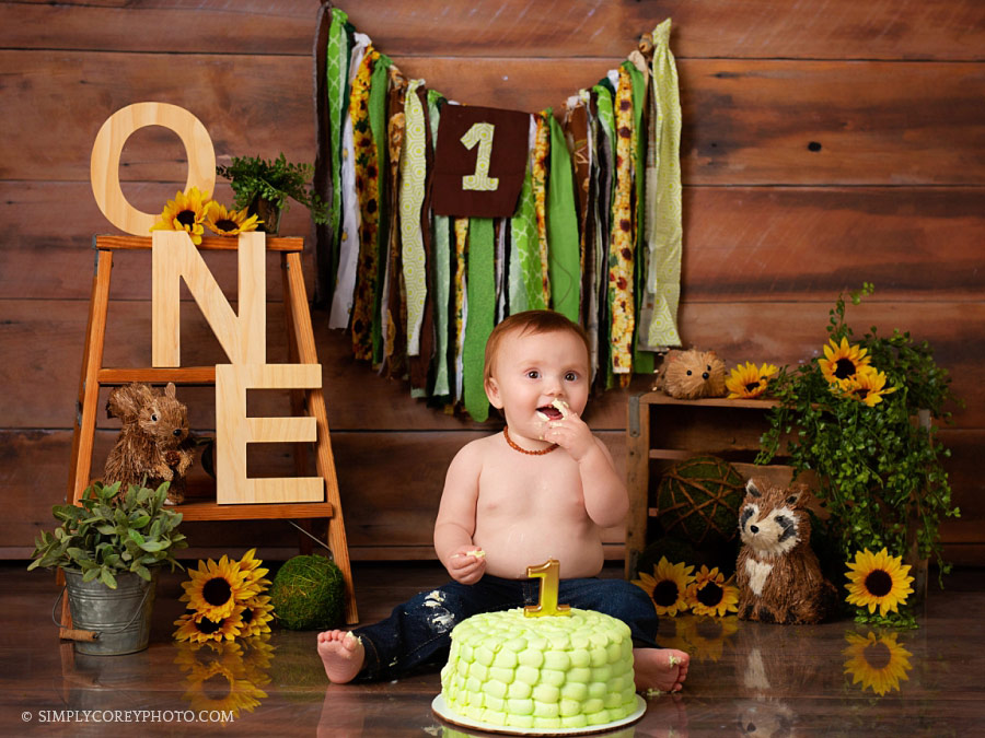 Villa Rica cake smash photographer, one year old boy with woodland animals