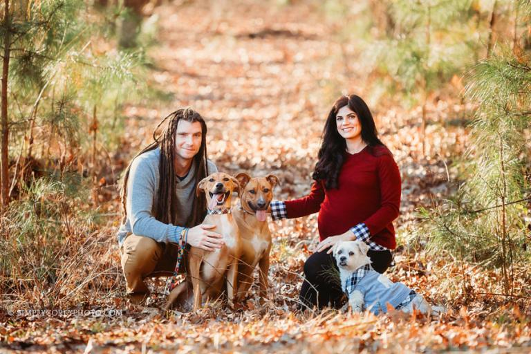 Bremen maternity photographer, couple outside with three dogs