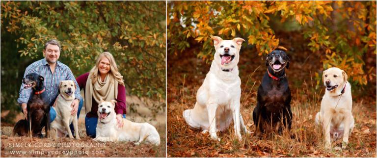 pet photographer near Douglasville, couple with three big dogs outside