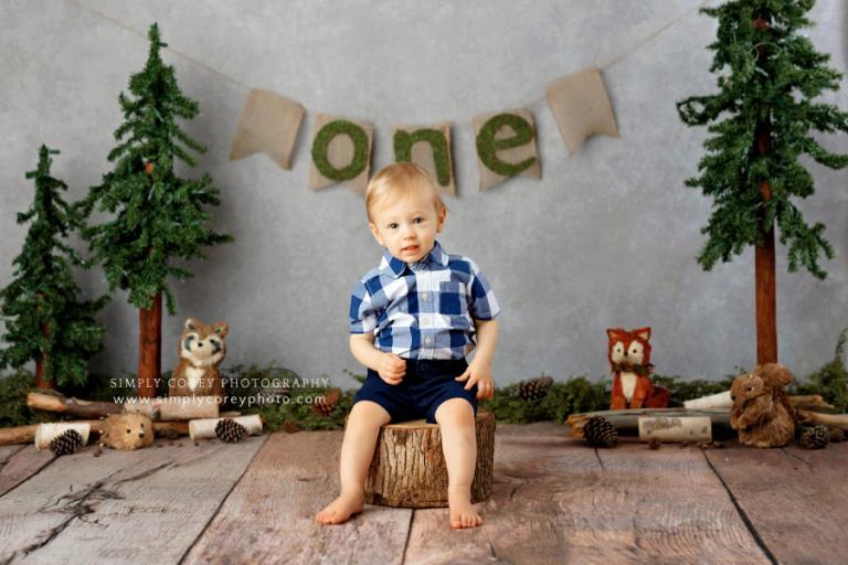 Newnan baby photographer, woodland one year studio cake smash