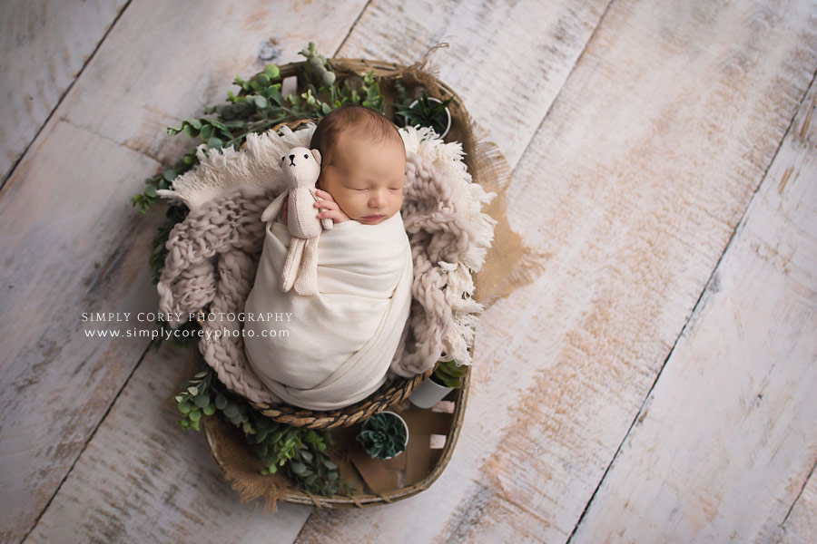 Newnan newborn photographer, baby boy in ivory with succulents and a teddy bear