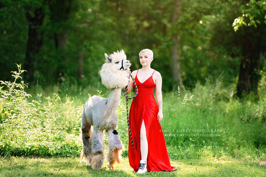 Atlanta senior portrait photographer, teen in red formal dress outside with an alpaca