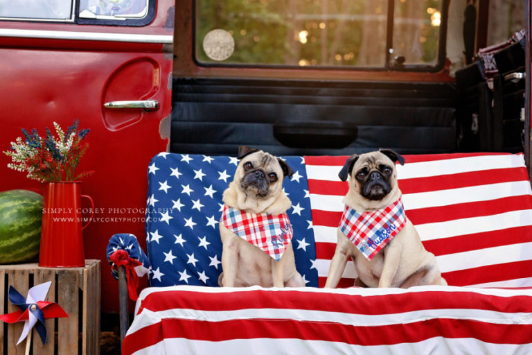 4th of July VW Bus Mini Sessions | 2022