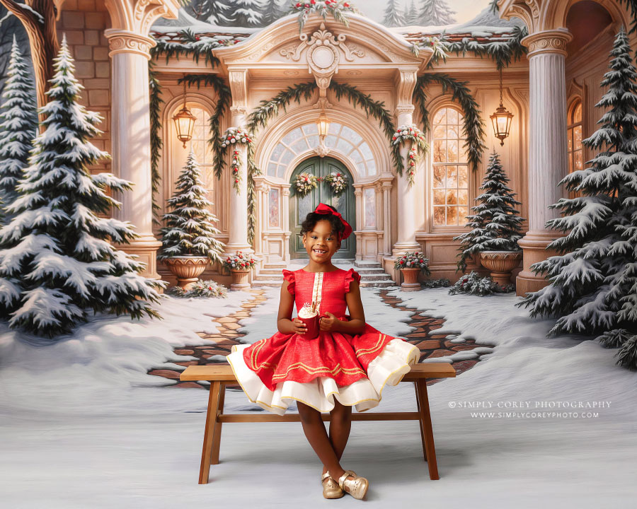 Atlanta mini session photographer studio sets