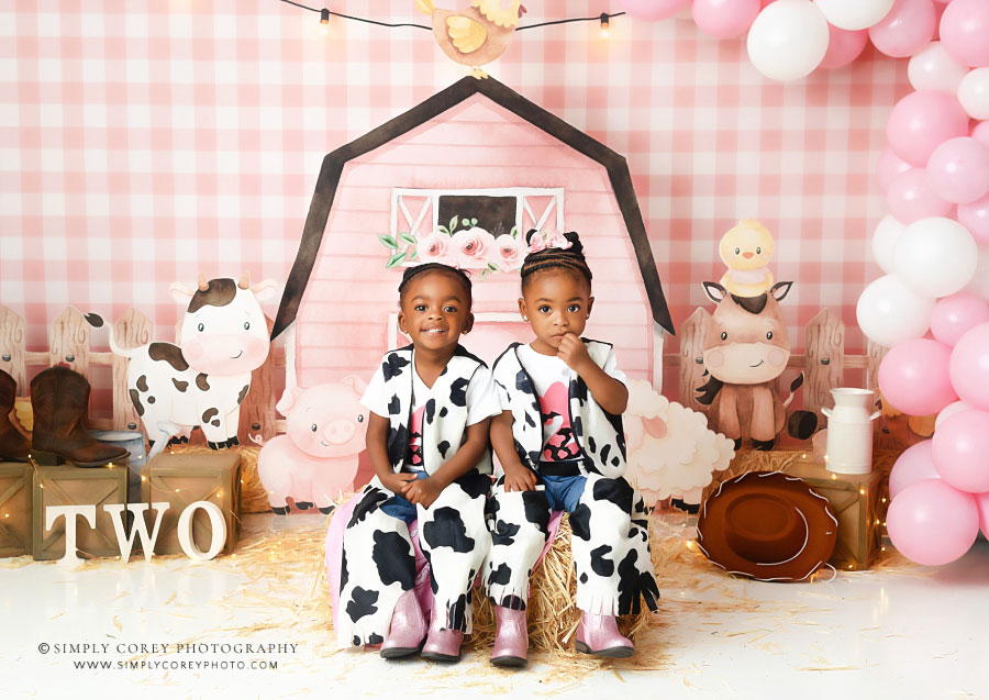Villa Rica children's photographer, pink barn set for baby girls second birthday